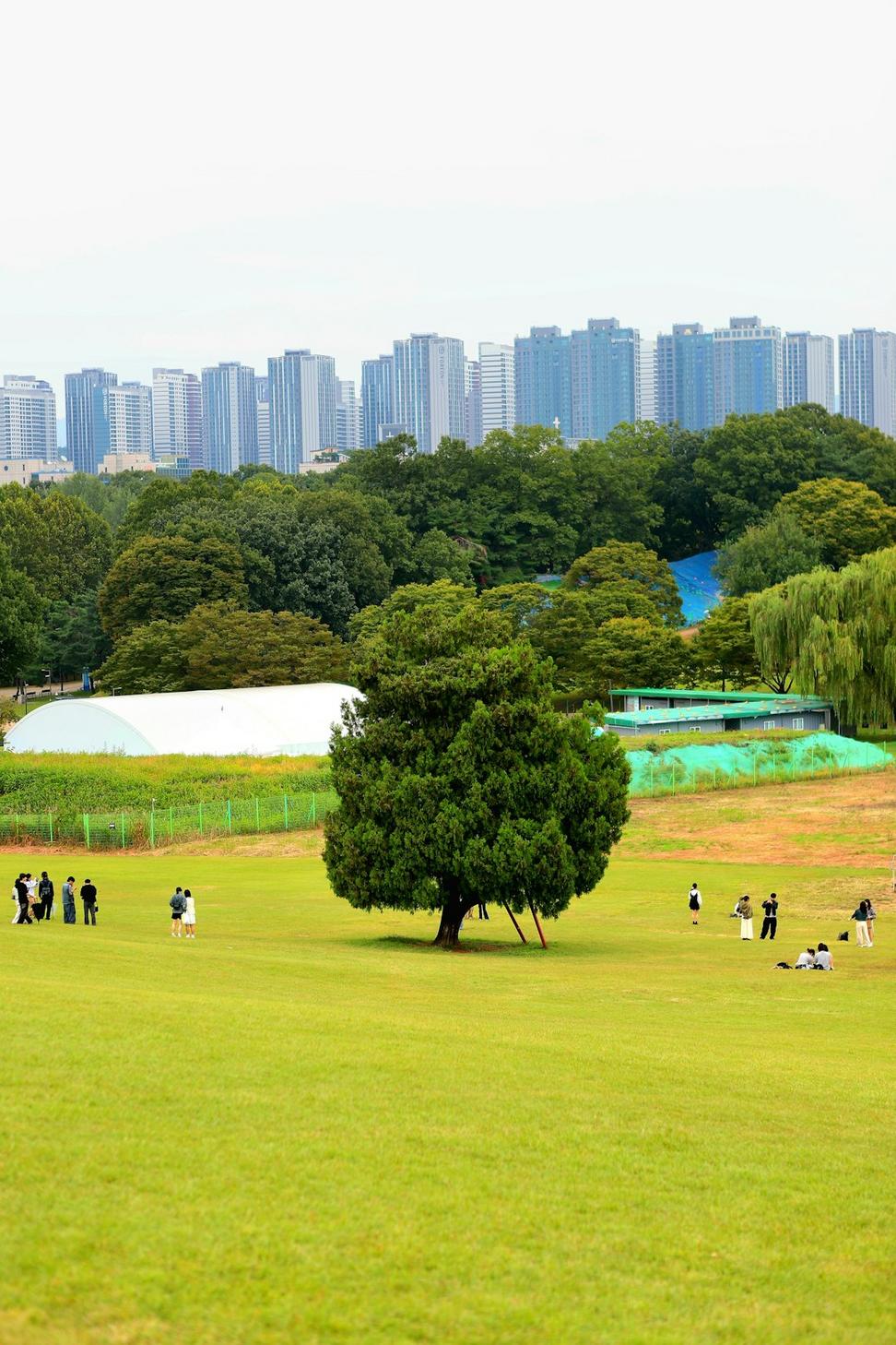 Urban Planning Project